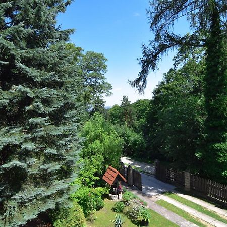 Staszica16 Apartment Złoty Stok Екстериор снимка