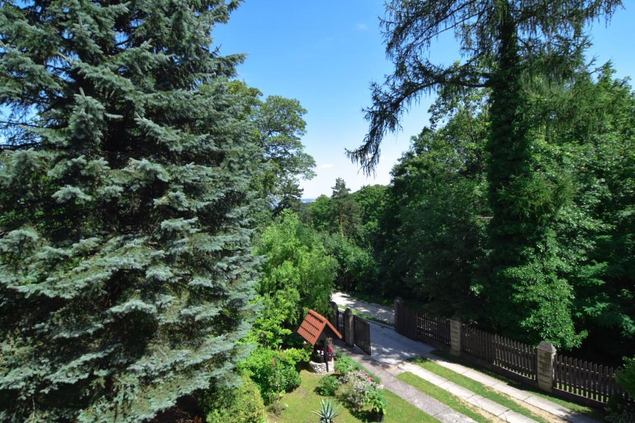 Staszica16 Apartment Złoty Stok Екстериор снимка