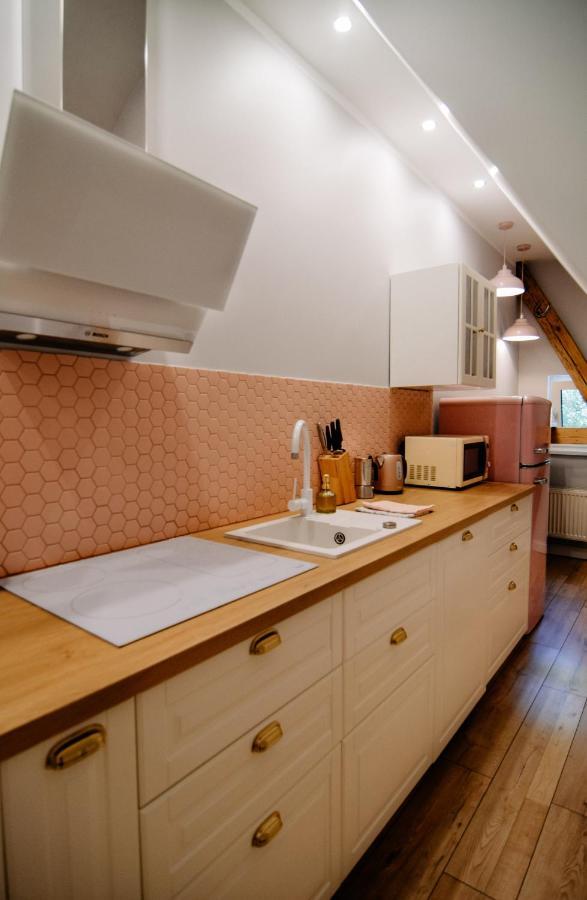 Staszica16 Apartment Złoty Stok Екстериор снимка